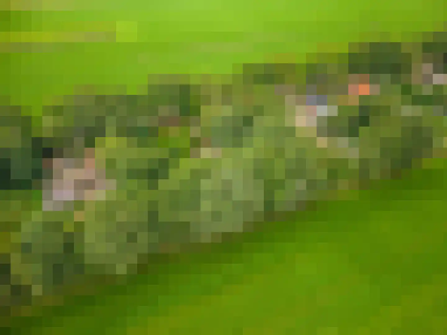 Kentersweg 22 Blijham thumbnail 4