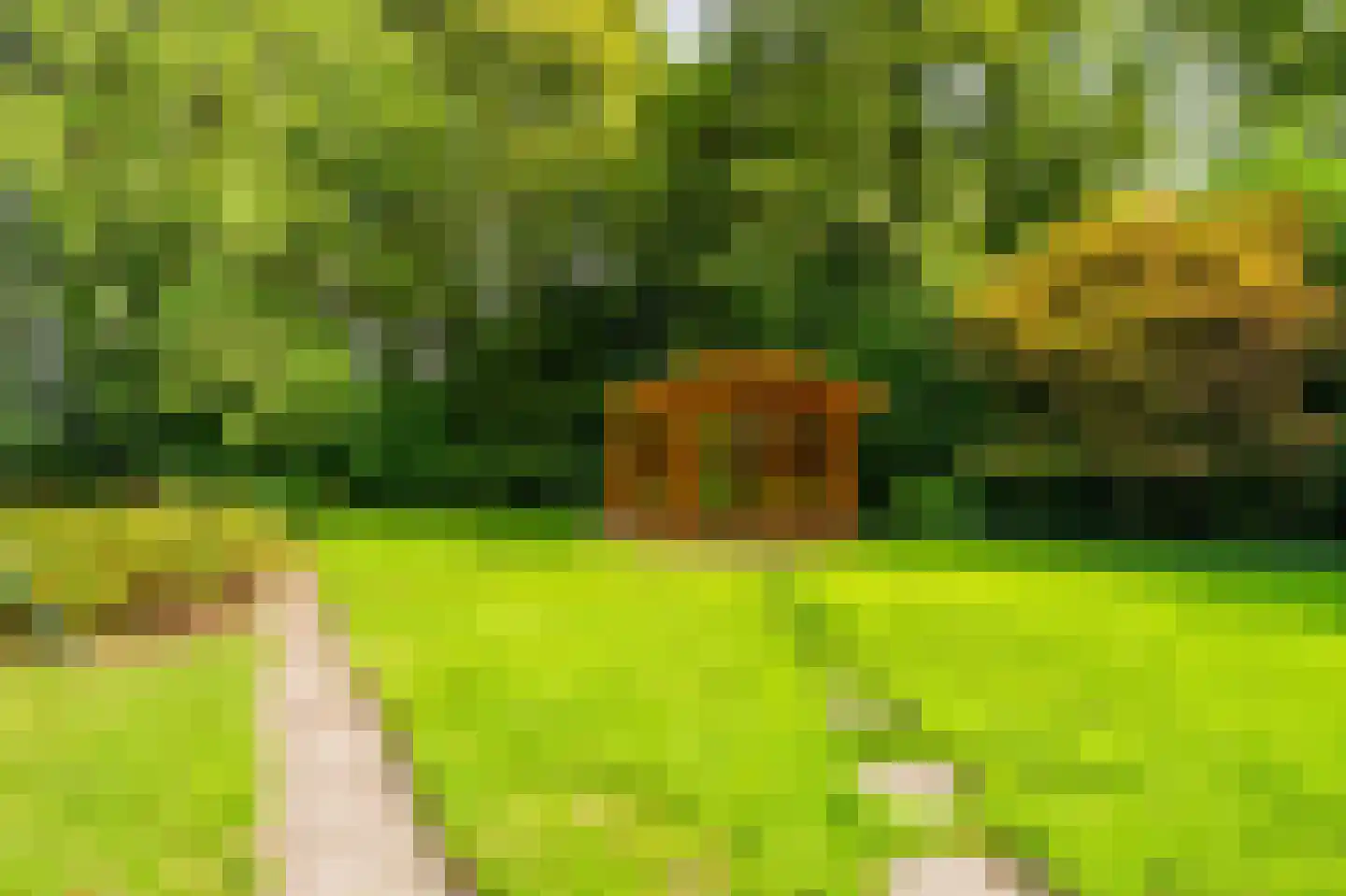 Kentersweg 22 Blijham thumbnail 40