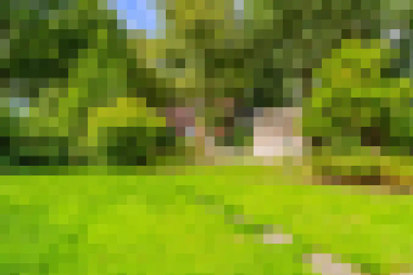 Kentersweg 22 Blijham thumbnail 41