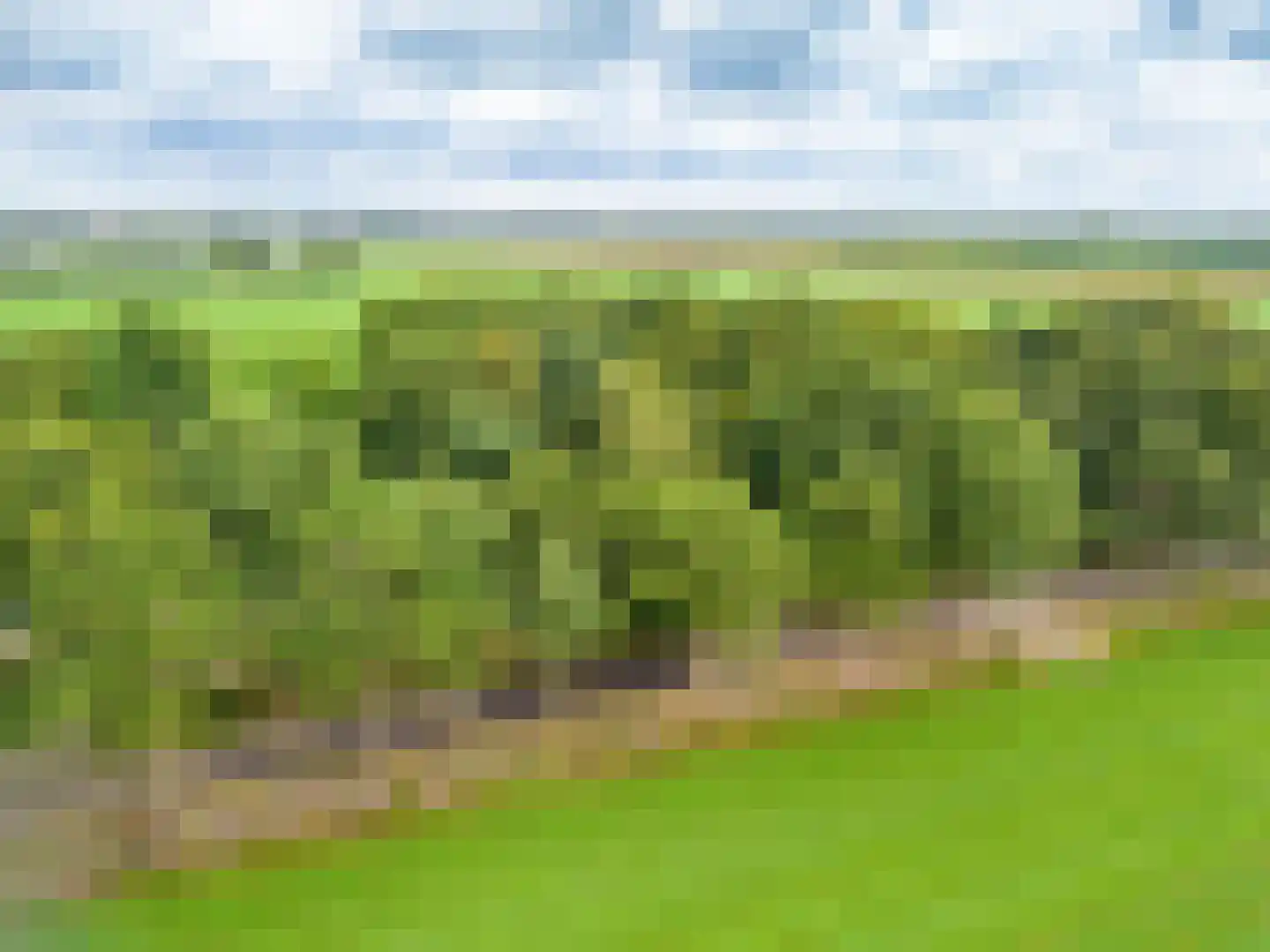 Kentersweg 22 Blijham thumbnail 43