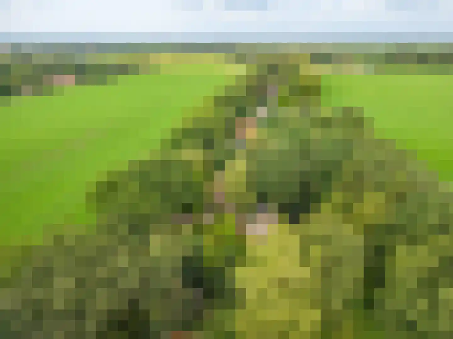 Kentersweg 22 Blijham thumbnail 44