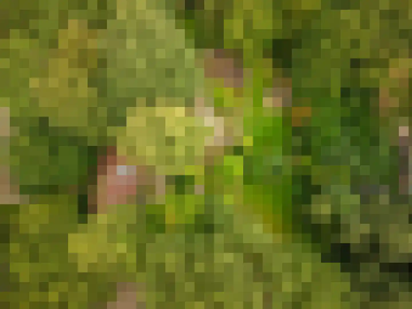 Kentersweg 22 Blijham thumbnail 46