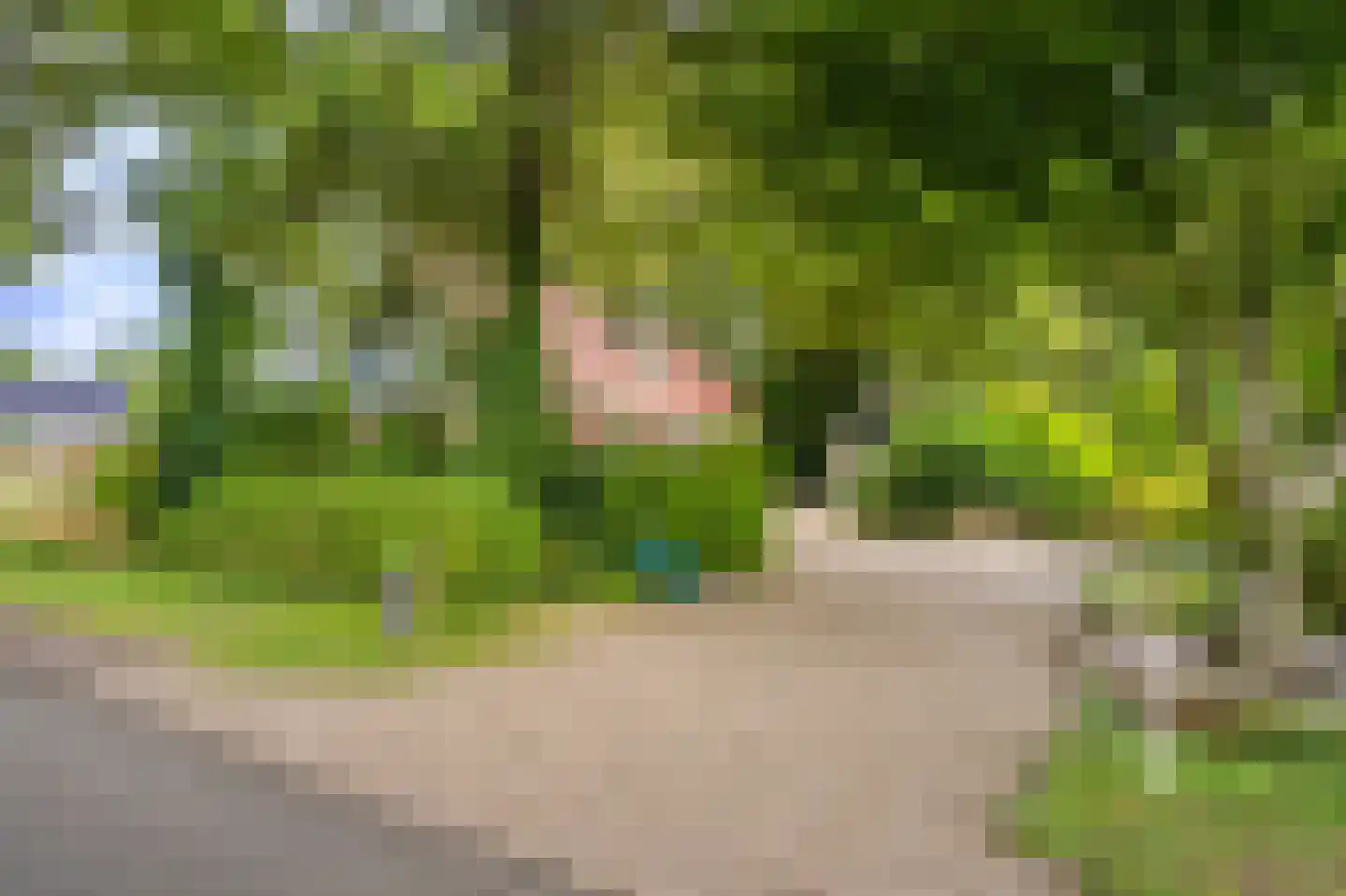Kentersweg 22 Blijham thumbnail 6