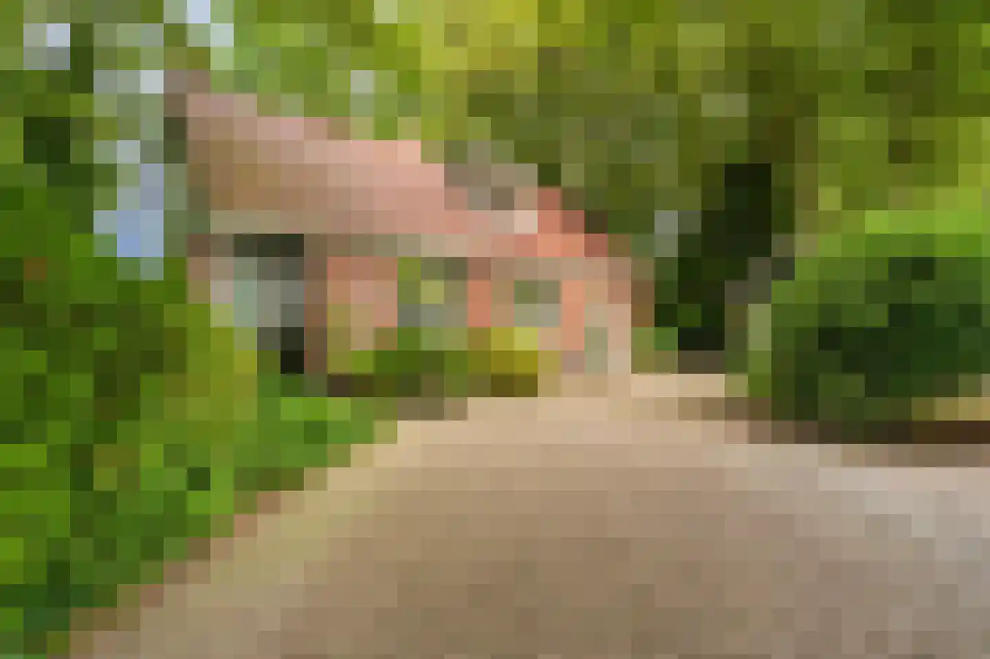 Kentersweg 22 Blijham thumbnail 7