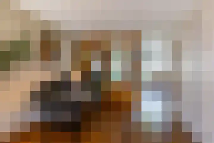 Kenwerd 11 Groningen thumbnail 12