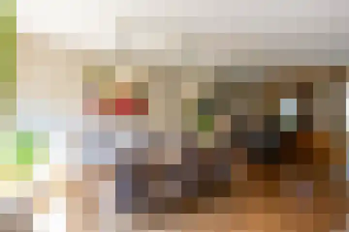 Kenwerd 11 Groningen thumbnail 17