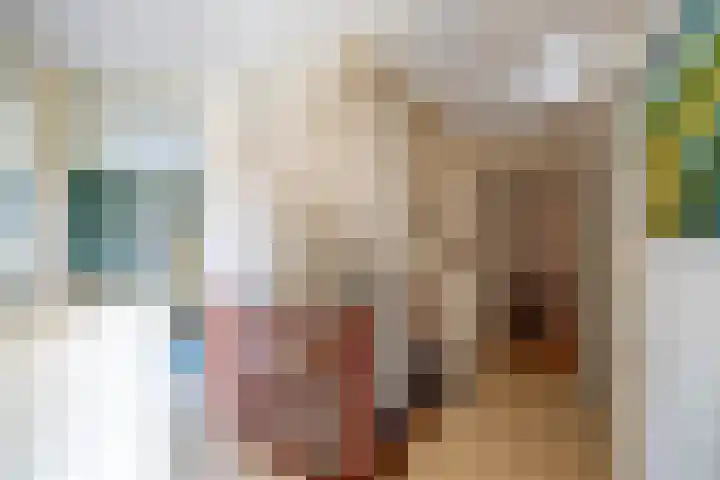 Kenwerd 11 Groningen thumbnail 27