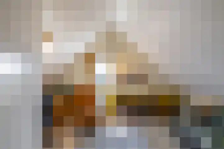 Kenwerd 11 Groningen thumbnail 39