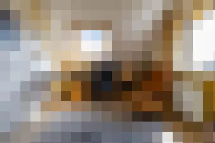 Kenwerd 11 Groningen thumbnail 41