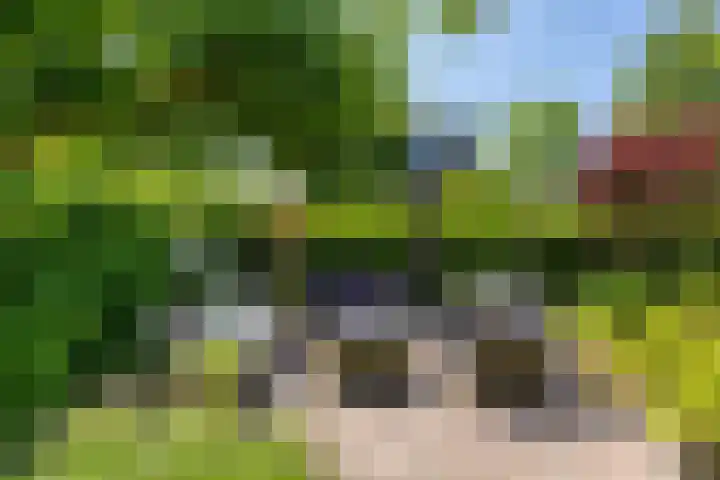 Kenwerd 11 Groningen thumbnail 43