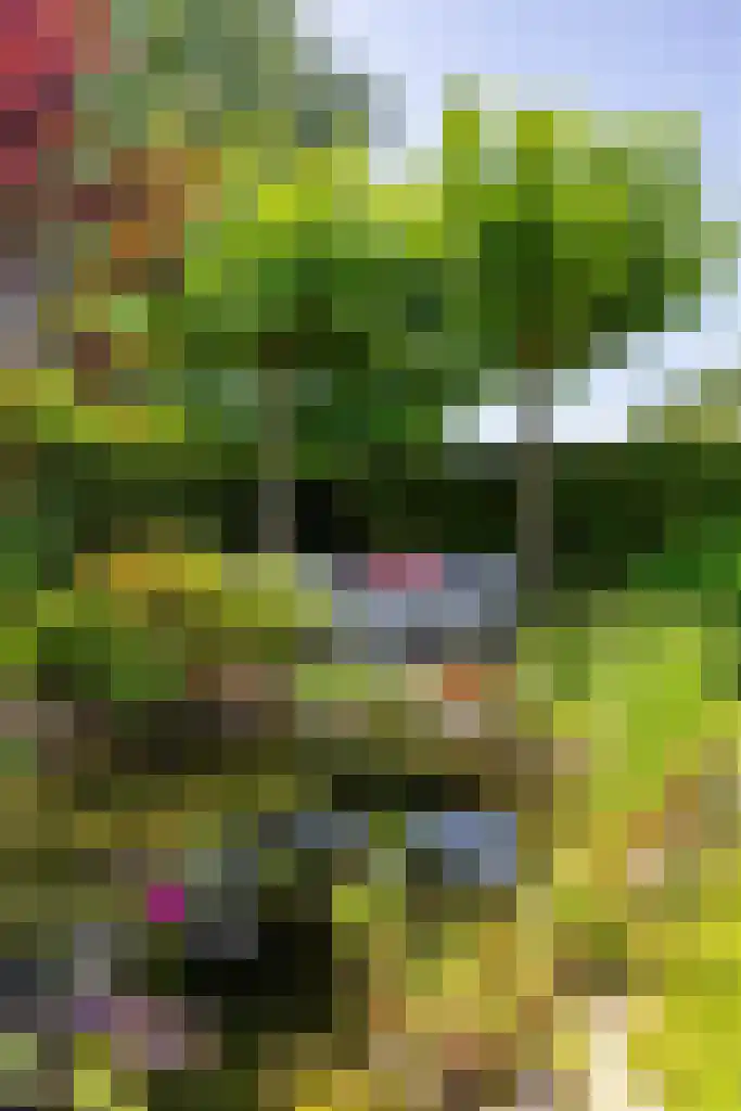 Kenwerd 11 Groningen thumbnail 46