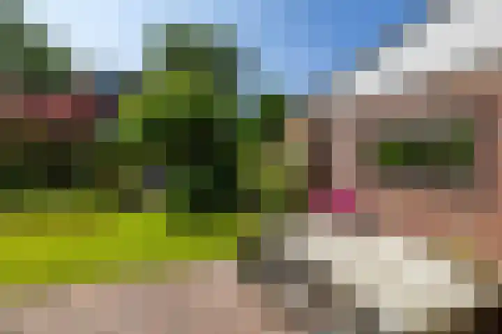 Kenwerd 11 Groningen thumbnail 47