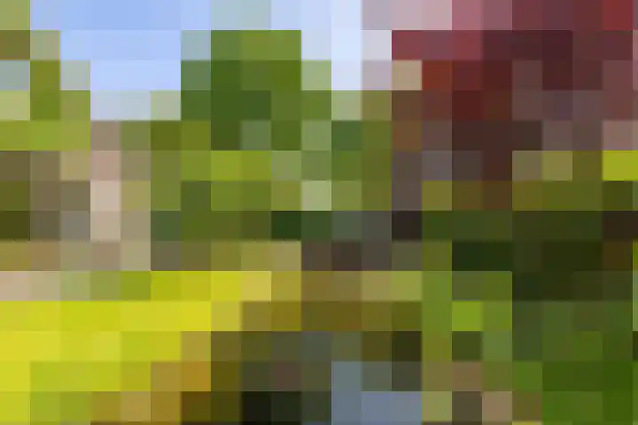 Kenwerd 11 Groningen thumbnail 48