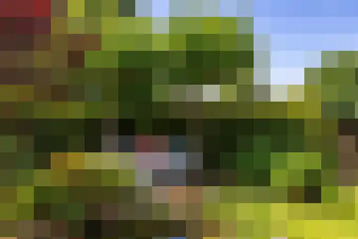 Kenwerd 11 Groningen thumbnail 50
