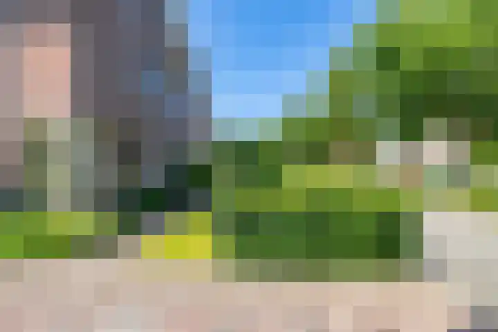 Kenwerd 11 Groningen thumbnail 53