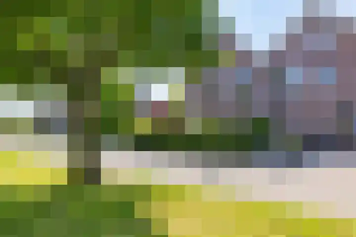 Kenwerd 11 Groningen thumbnail 55