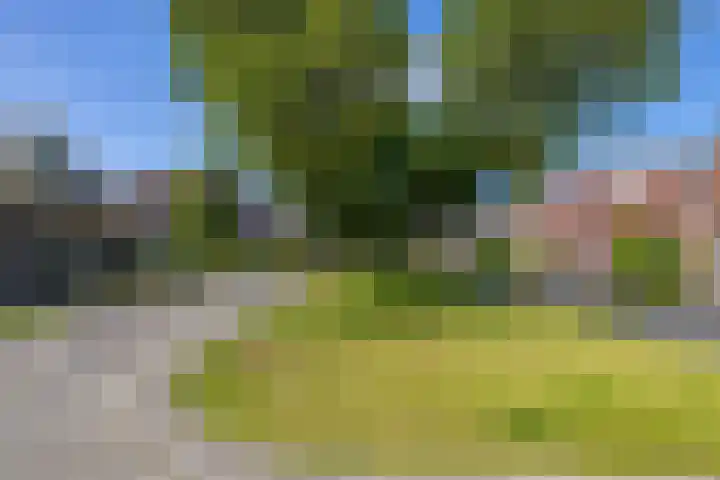 Kenwerd 11 Groningen thumbnail 57
