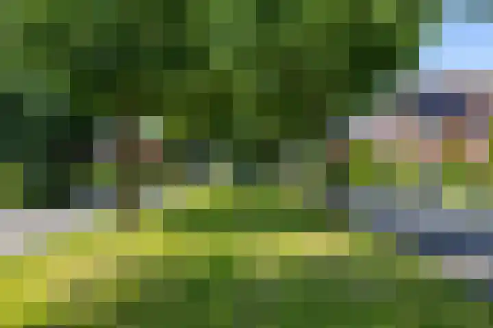 Kenwerd 11 Groningen thumbnail 59