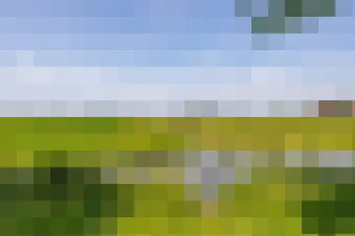 Kenwerd 11 Groningen thumbnail 60
