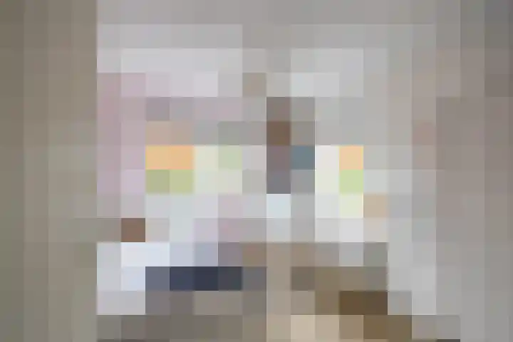 Kenwerd 6 Groningen thumbnail 25