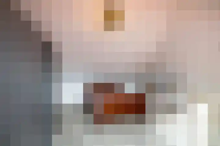 Kenwerd 6 Groningen thumbnail 30