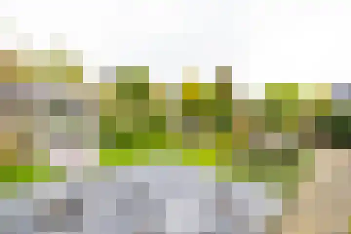 Kenwerd 6 Groningen thumbnail 33