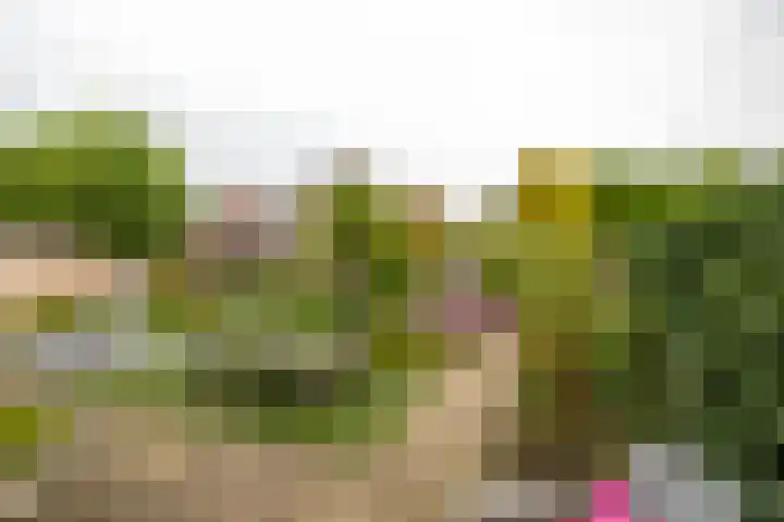 Kenwerd 6 Groningen thumbnail 34