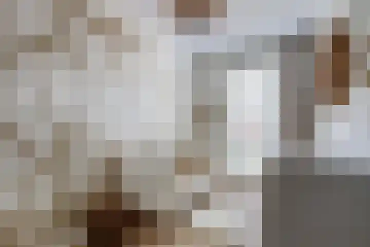 Kenwerd 6 Groningen thumbnail 41