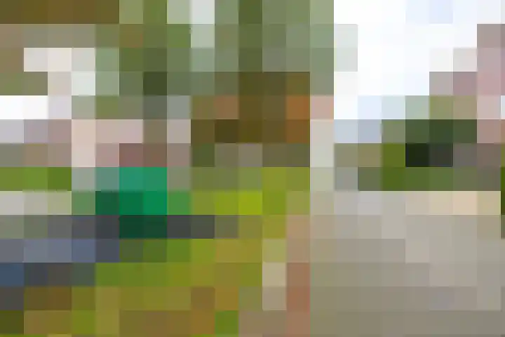 Kenwerd 6 Groningen thumbnail 42