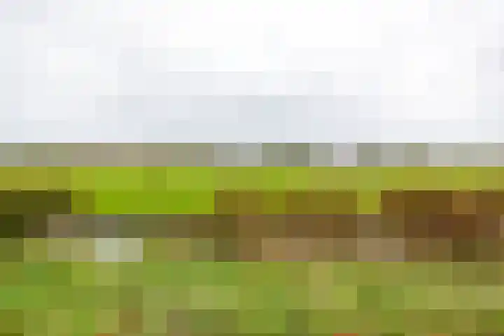 Kenwerd 6 Groningen thumbnail 43