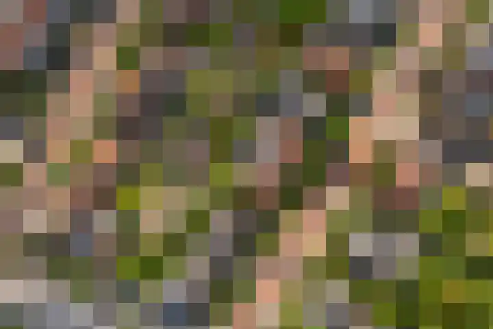 Kenwerd 6 Groningen thumbnail 44