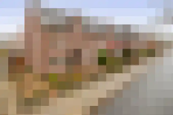 Kenzenstraat 13 Steyl thumbnail 30