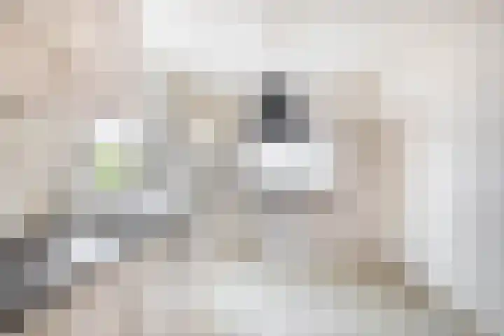 Kenzenstraat 13 Steyl thumbnail 8