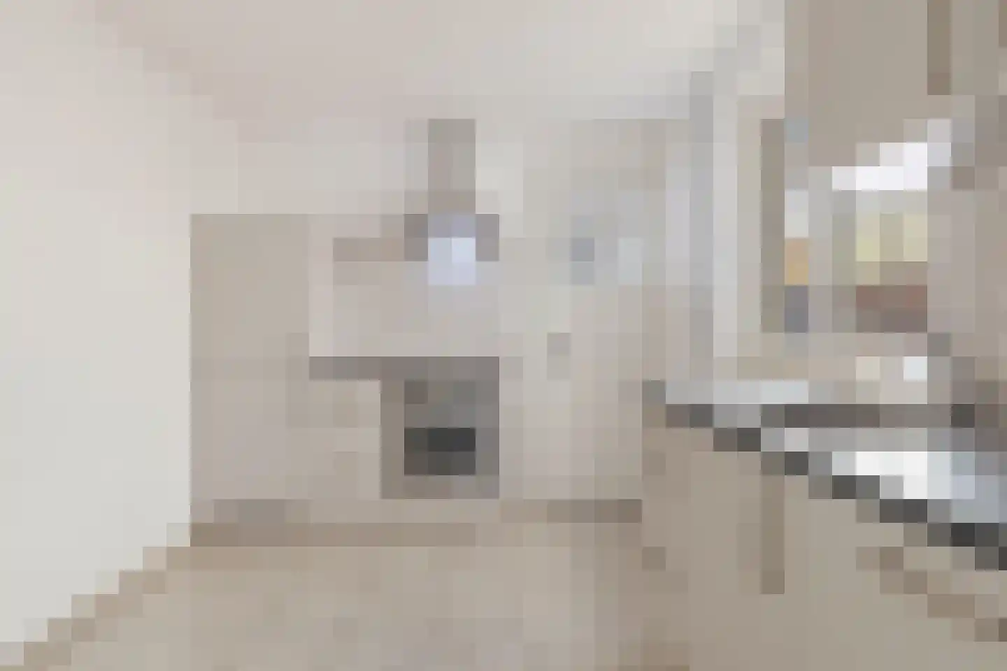 Kenzenstraat 15 Steyl thumbnail 20