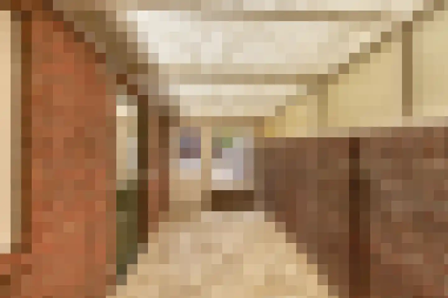 Kenzenstraat 15 Steyl thumbnail 22