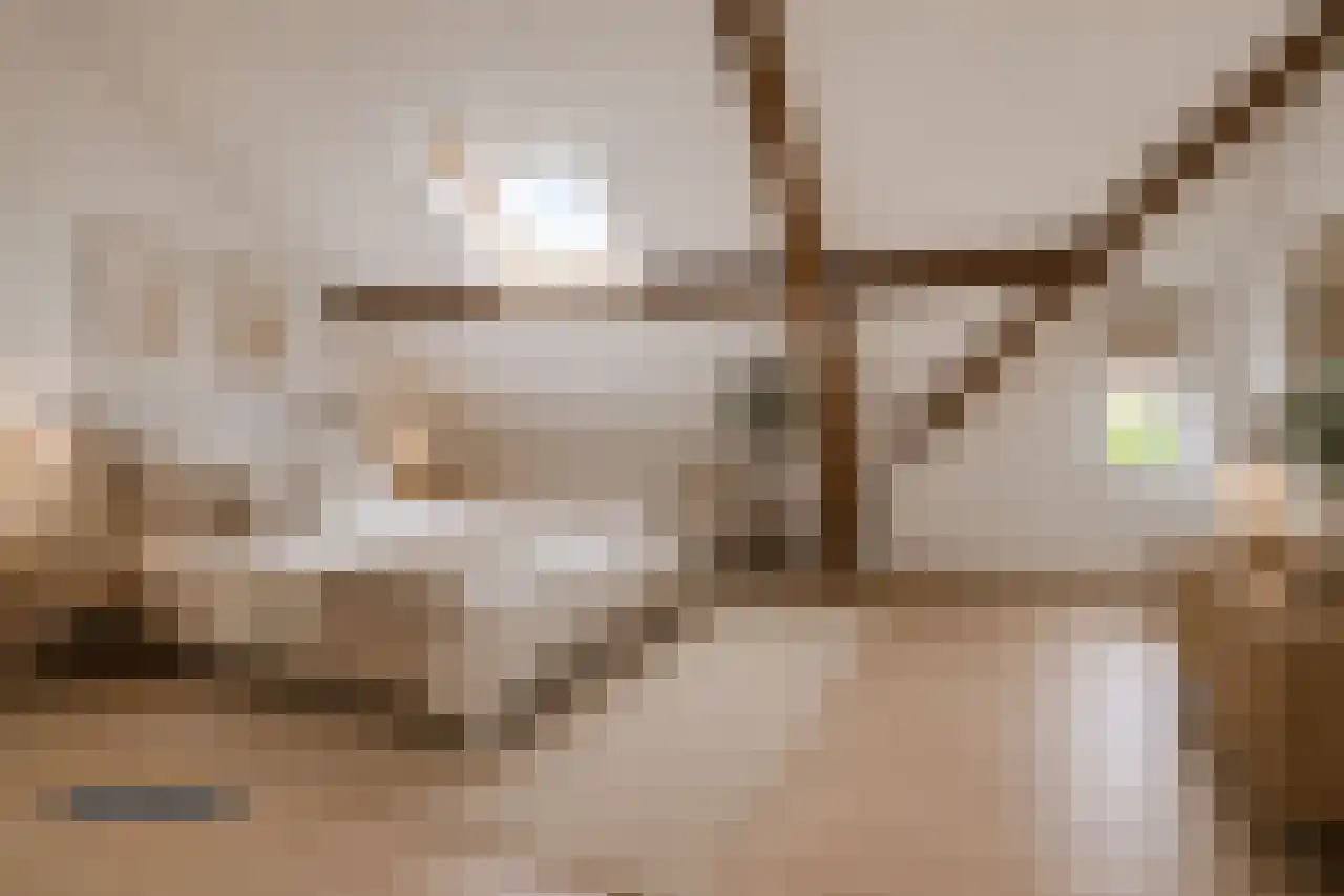 Kenzenstraat 15 Steyl thumbnail 4