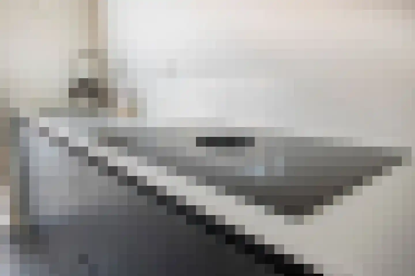Keper 20 Goirle thumbnail 14