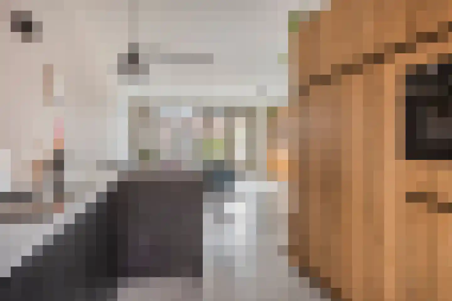 Keper 20 Goirle thumbnail 15