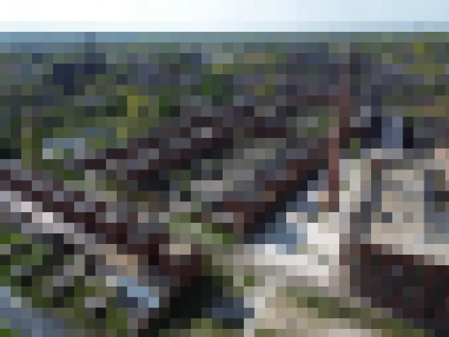 Keper 20 Goirle thumbnail 47