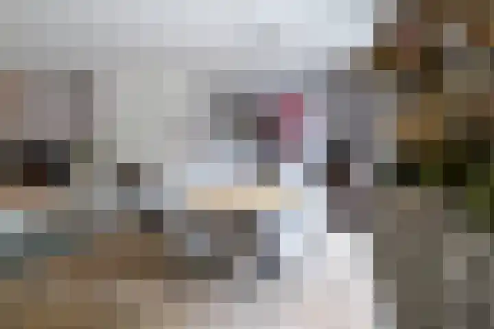 Keper 3 Goirle thumbnail 17