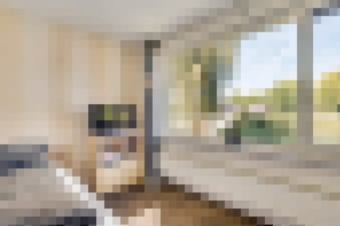 Keperhof 18 Weert thumbnail 30