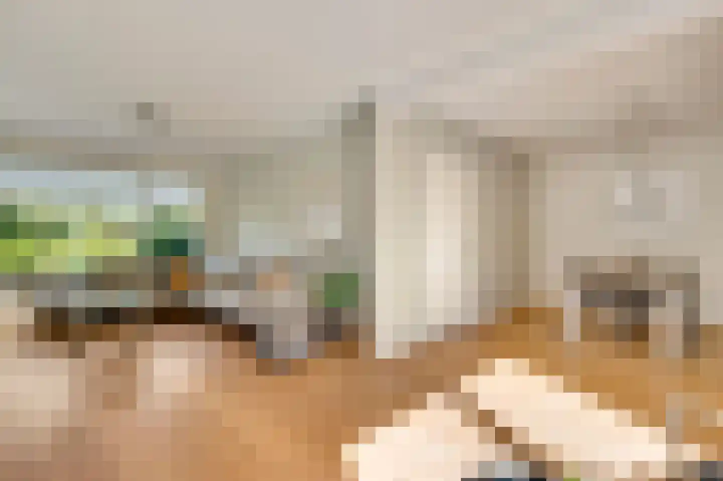 Keperhof 18 Weert thumbnail 4