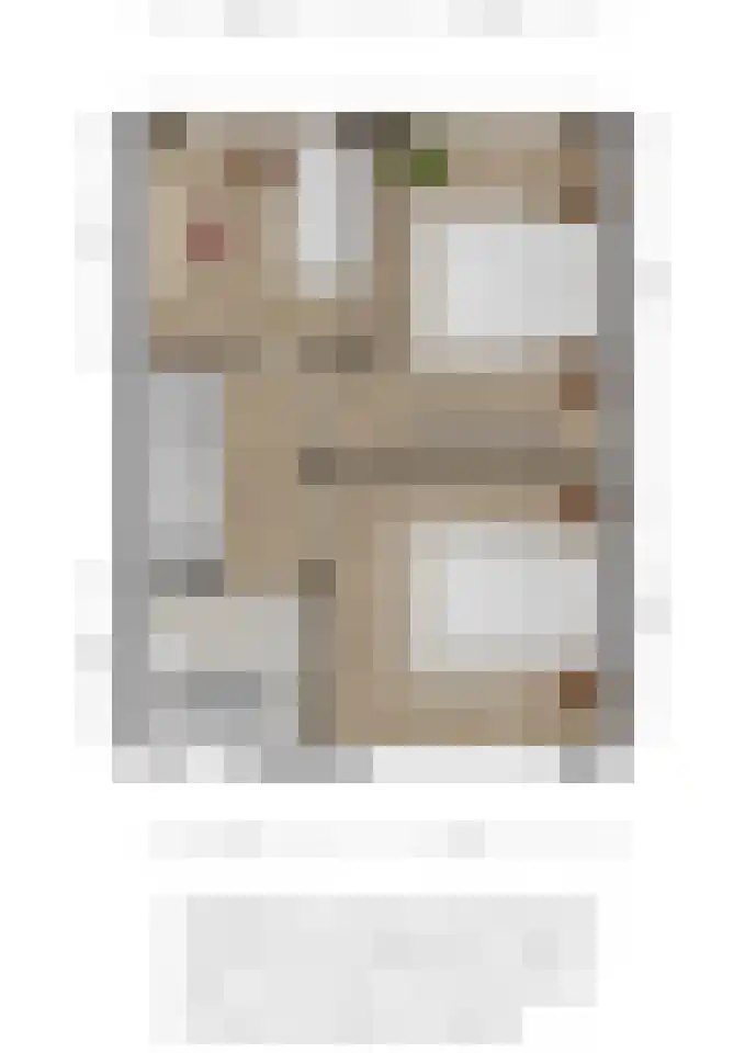 Keplerlaan 30 Spijkenisse thumbnail 17