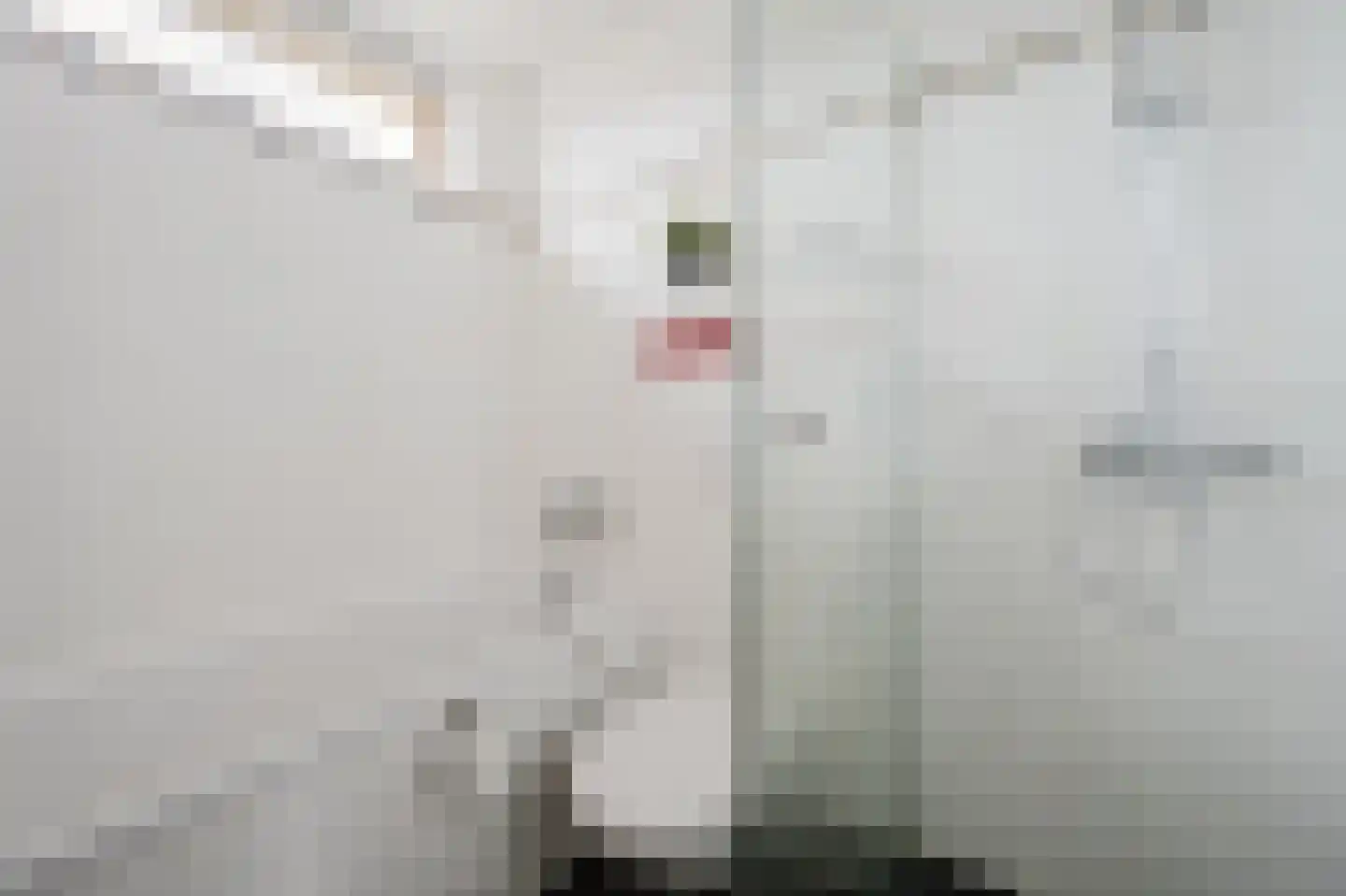 Keplerlaan 30 Spijkenisse thumbnail 23