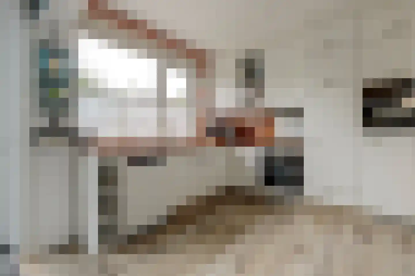 Keplerlaan 64 Spijkenisse thumbnail 10