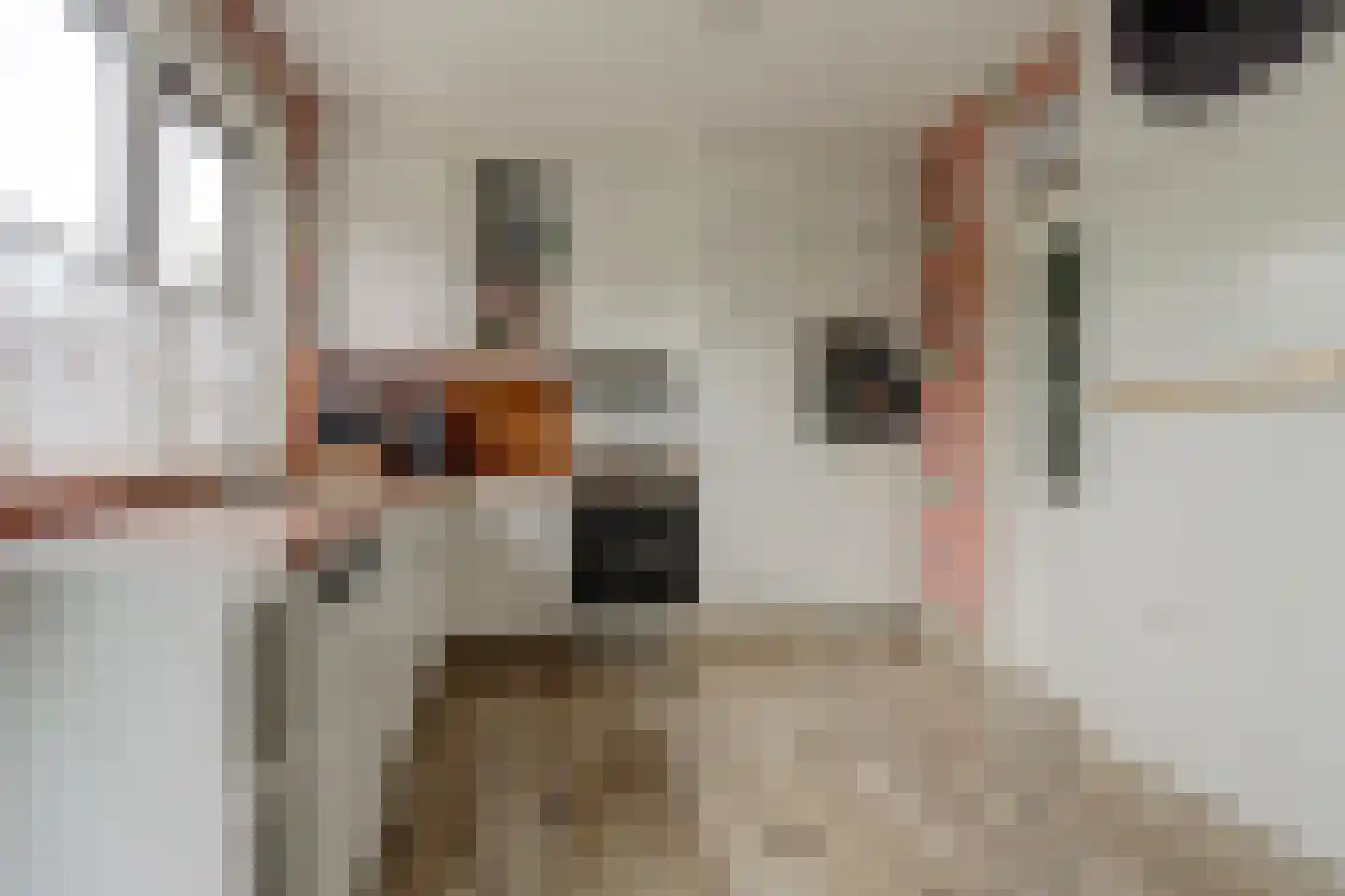 Keplerlaan 64 Spijkenisse thumbnail 11