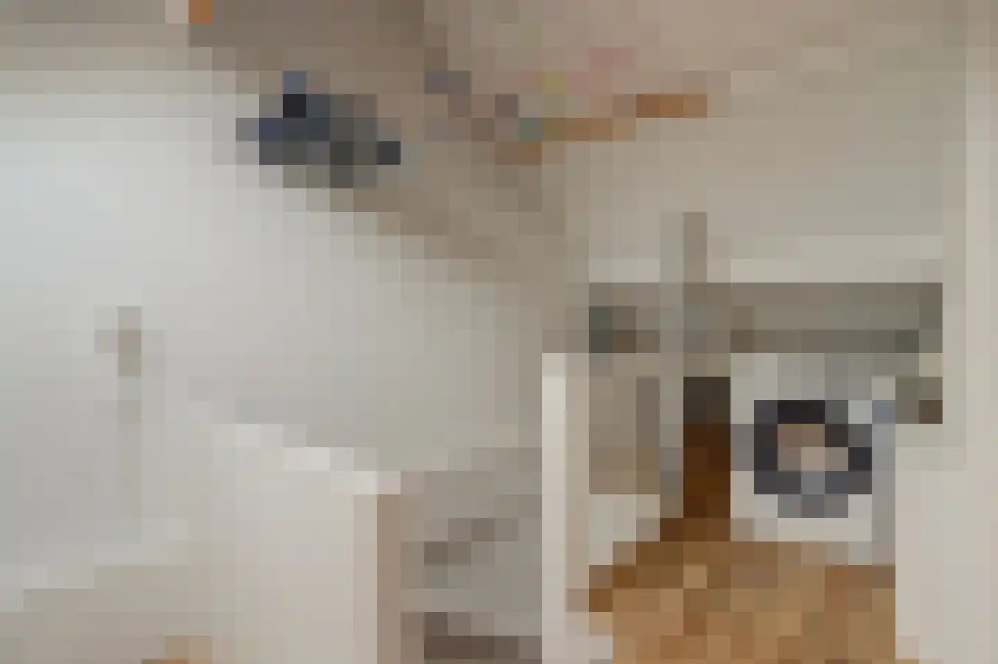 Keplerlaan 64 Spijkenisse thumbnail 27