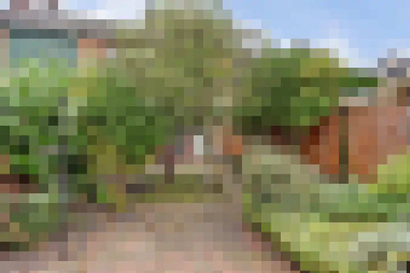 Keplerlaan 64 Spijkenisse thumbnail 38