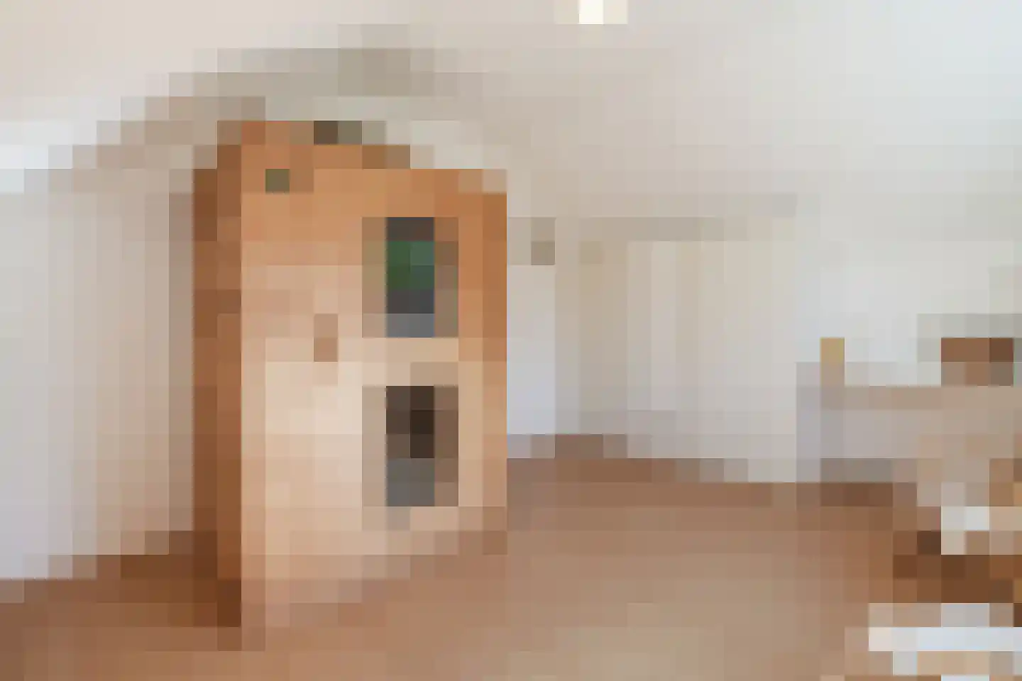 Keplerlaan 7 Hoogeveen thumbnail 41