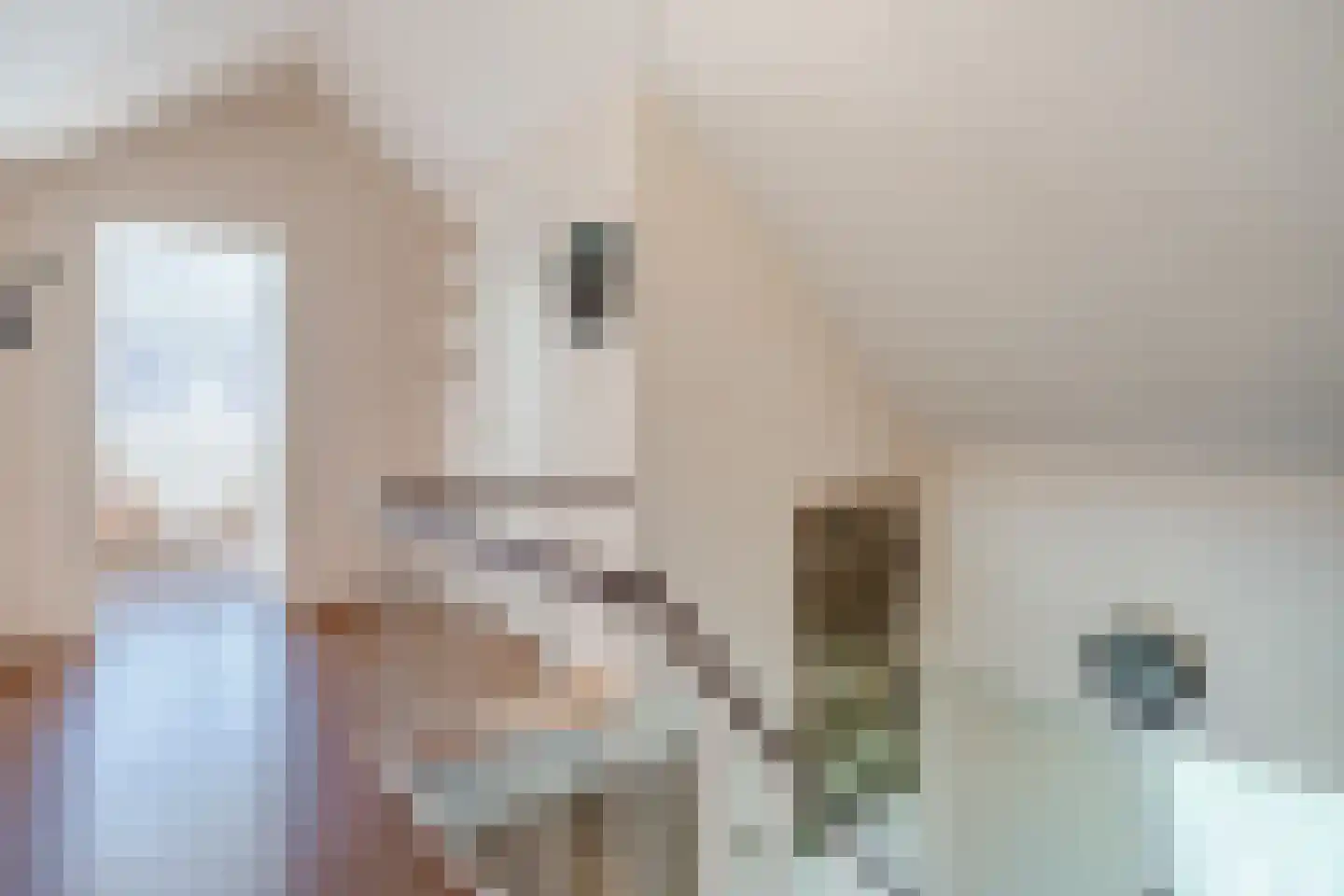 Keplerlaan 7 Hoogeveen thumbnail 46